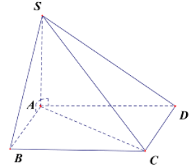 v (ảnh 1)