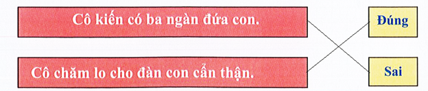 Nối (ảnh 2)