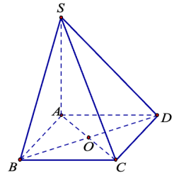 v (ảnh 1)