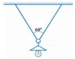 Lực căng của mỗi nửa sợi dây là bao nhiêu? (Lấy g = 10 m/s2). (ảnh 1)