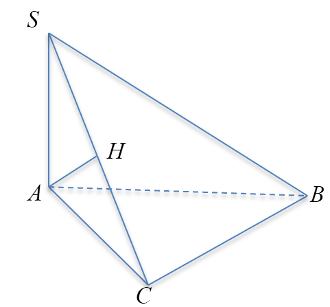 c (ảnh 1)