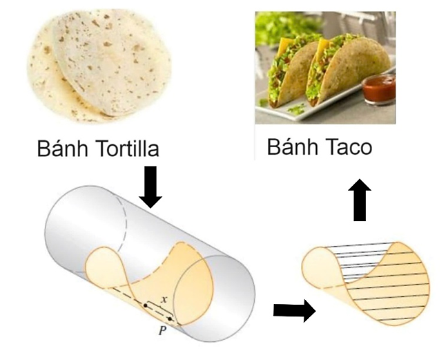 Tính thể tích của bánh Taco theo đơn vị centimet khối (kết quả làm tròn đến hàng đơn vị). (ảnh 1)
