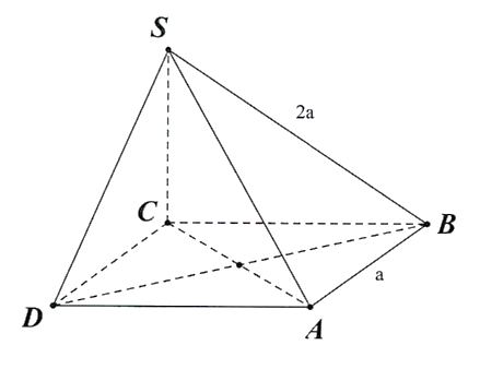 C (ảnh 1)