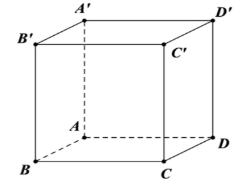 Cho hình lập phương ABCD.A'B'C'D' cạnh a. Tính khoảng cách giữa hai đường thẳng BB', AD.  (ảnh 1)