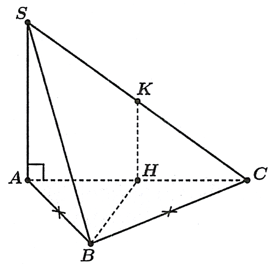 S (ảnh 1)