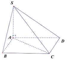 v (ảnh 1)