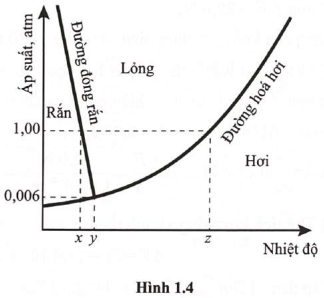 Trong các phát biểu sau đây, phát biểu nào là đúng, phát biểu nào là sai? (ảnh 1)