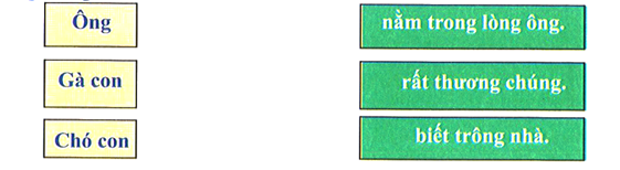 Ghép đúng: (ảnh 1)