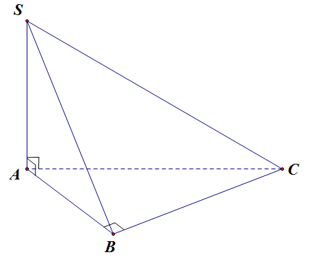 v (ảnh 1)