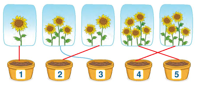 III. Nối (theo mẫu) Câu 5. Nối (ảnh 2)