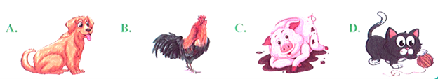 Con thú “dữ” chuột ít gặp là con gì? (ảnh 1)