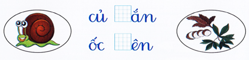 Điền x/s (1 điểm) (ảnh 1)