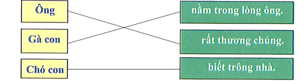 Ghép đúng: (ảnh 2)