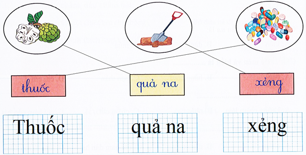 Nối hình với chữ rồi viết lại (1,5 điểm) (ảnh 2)