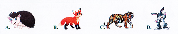 Đến giờ về, chồn về nhà……… (ảnh 1)