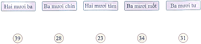 Nối? (1 điểm) (ảnh 1)