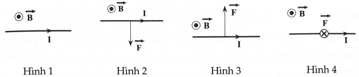 B (ảnh 1)