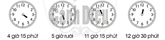 Vẽ thêm kim phút trên mặt đồng hồ để đồng hồ chỉ: (ảnh 1)