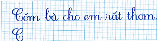 Tập chép (1 điểm) (ảnh 1)