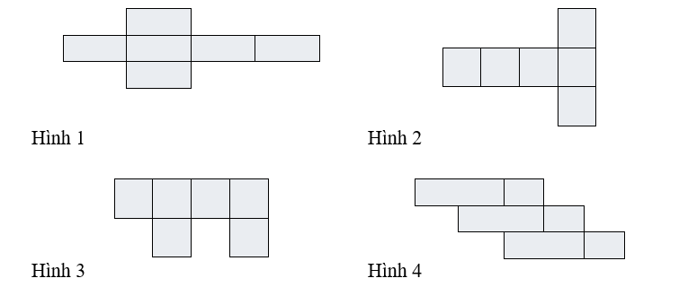 Trong các hình dưới đây, hình khai triển của hình hộp chữ nhật là: (0,5 điểm) (ảnh 1)