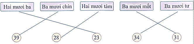 Nối? (1 điểm) (ảnh 2)