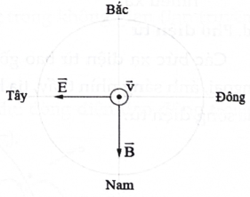 Phát biểu nào đúng, phát biểu nào sai: (ảnh 1)