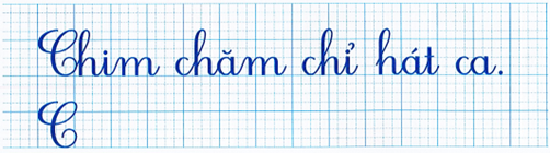 Tập chép (0,5 điểm) (ảnh 1)
