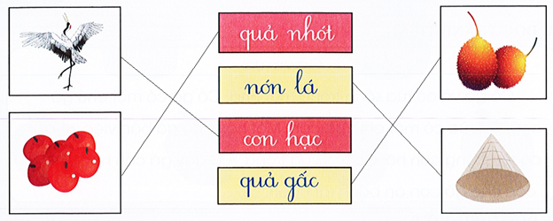 II. Viết (5 điểm) Bài 1. Nối (2 điểm) (ảnh 2)