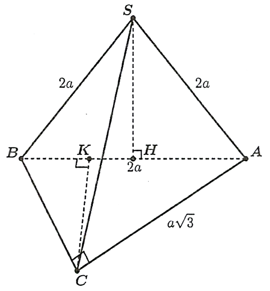 V (ảnh 1)