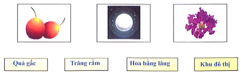 Nối (ảnh 1)