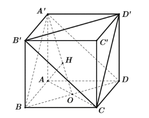 Tính khoảng cách giữa hai mặt phẳng (A'BD), (CB'D'). (kết quả làm tròn đến hàng phần trăm). (ảnh 1)