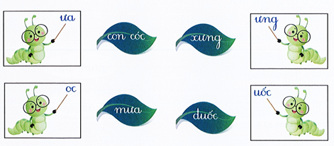 Nối: (2 điểm) (ảnh 1)