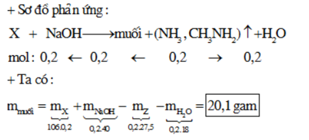 Cho hỗn hợp X gồm 2 chất hữu cơ có cùng công thức phân tử C3H10N2O2 (ảnh 1)