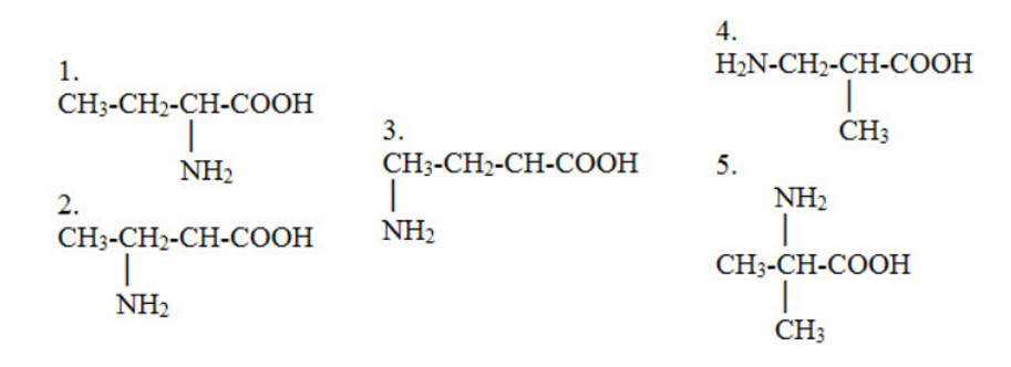 Số đồng phân amino axit có công thức phân tử C4H9NO2 là (ảnh 1)