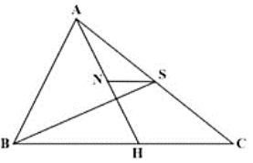 Cho hình vẽ dưới đây, có N là trung điểm của AH và NS//BC. Biết SABC = 100 cm2. Tính SABS (ảnh 1)