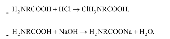 Axit aminoaxetic tác dụng được với dung dịch nào sau đây? A. . B. NaCl. C. HCl. D. . Đáp án: C HD: Amino axit là hợp chất hữu cơ lưỡng tính, vừa tác dụng được với axit manh, vừa tác dụng đư (ảnh 2)
