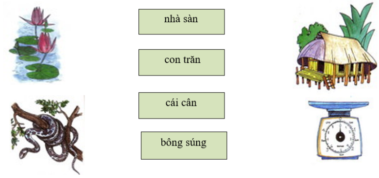 Nối từ với hình phù hợp:  (ảnh 1)