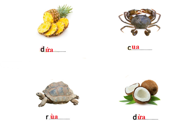 Điền vào chỗ trống ua hoặc ưa (ảnh 2)