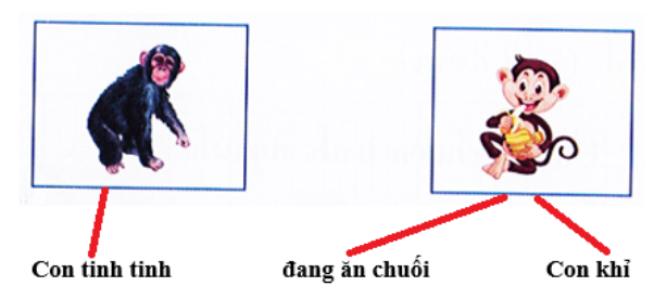 Nối (ảnh 2)