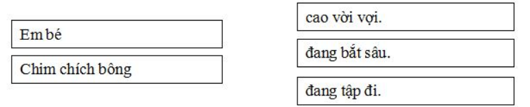 Nối:  (ảnh 1)