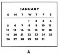When is the best month to plant the seeds? (ảnh 1)