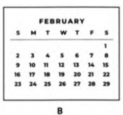 When is the best month to plant the seeds? (ảnh 2)