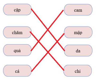  Nối từ thích hợp: (ảnh 2)
