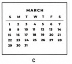 When is the best month to plant the seeds? (ảnh 3)