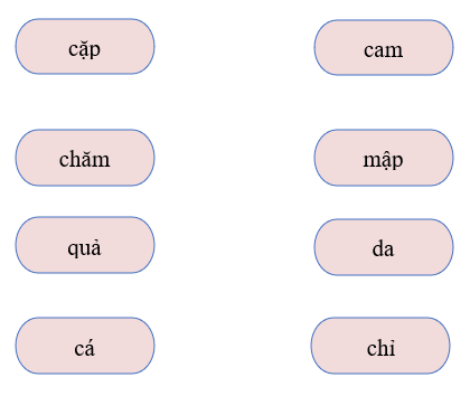  Nối từ thích hợp: (ảnh 1)