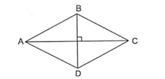 Cho hình thoi ABCD. Trong các khẳng định sau có bao nhiêu khẳng định đúng? (ảnh 1)