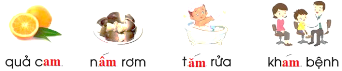Điền vào chỗ trống am/ âm/ ăm (ảnh 2)