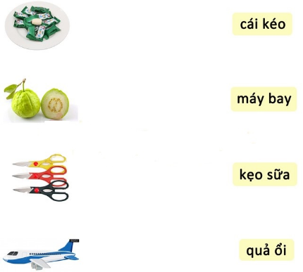 Em hãy nối từ ngữ với hình tương ứng:  (ảnh 1)