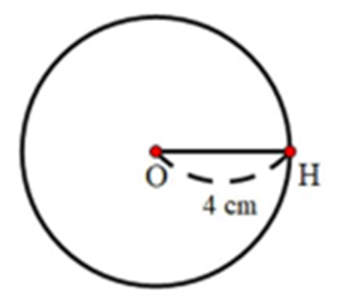 Cho hình vẽ sau:   Độ dài đường kính của hình tròn tâm O là: 	A. 2 cm                     B. 8 cm                     C. 4 cm                     D. 12 cm (ảnh 1)