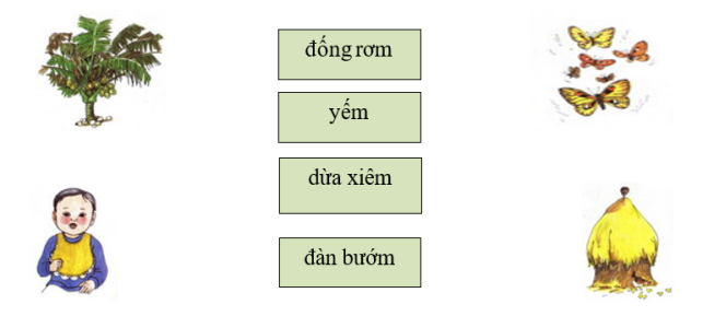 Nối từ với hình phù hợp:  (ảnh 1)